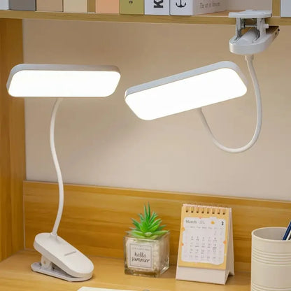 Clip-on Desk Lamp